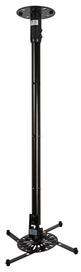 BTEMON371
