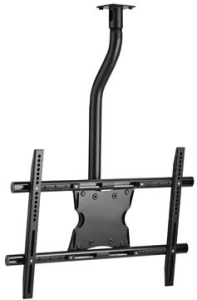 ERGFUR029