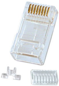 LINNET258