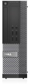 DELSYS822