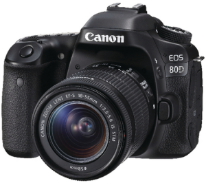 CANMON301