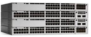 CISNET3T6