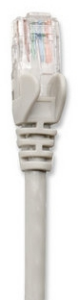 INTNET585