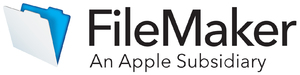 FILSFT599